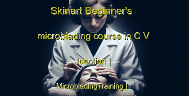 Skinart Beginner's microblading course in C V Junction | MicrobladingTraining | MicrobladingClasses | SkinartTraining-United States